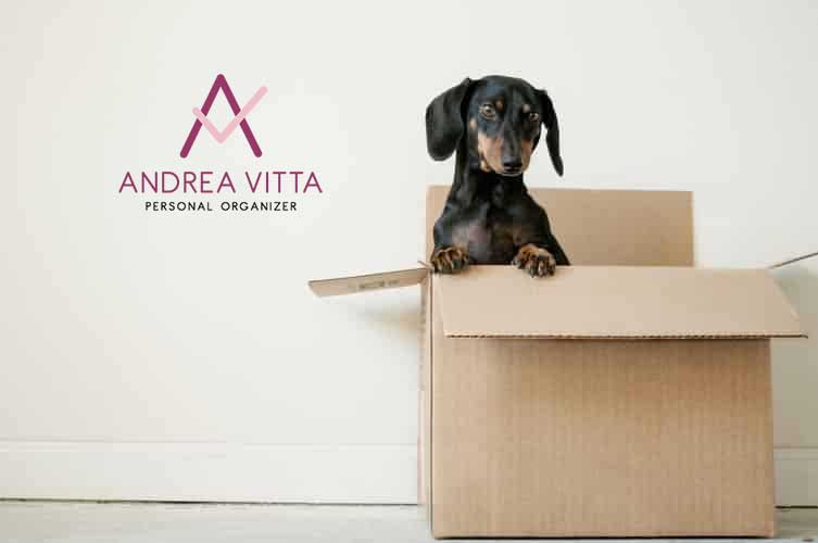Organização Pós Mudança com Andrea Vitta - Personal Organizer para Sorocaba e Região
